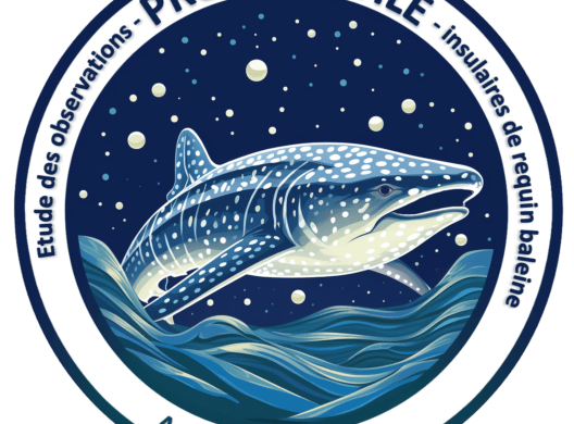 Projet ETOILE – Synthèse des observations de requins baleine Projet ETOILE – Synthèse des observations de requins baleine